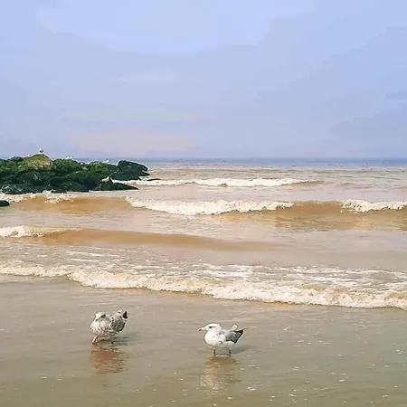Getaway, Cleaning Included 尼乌波特